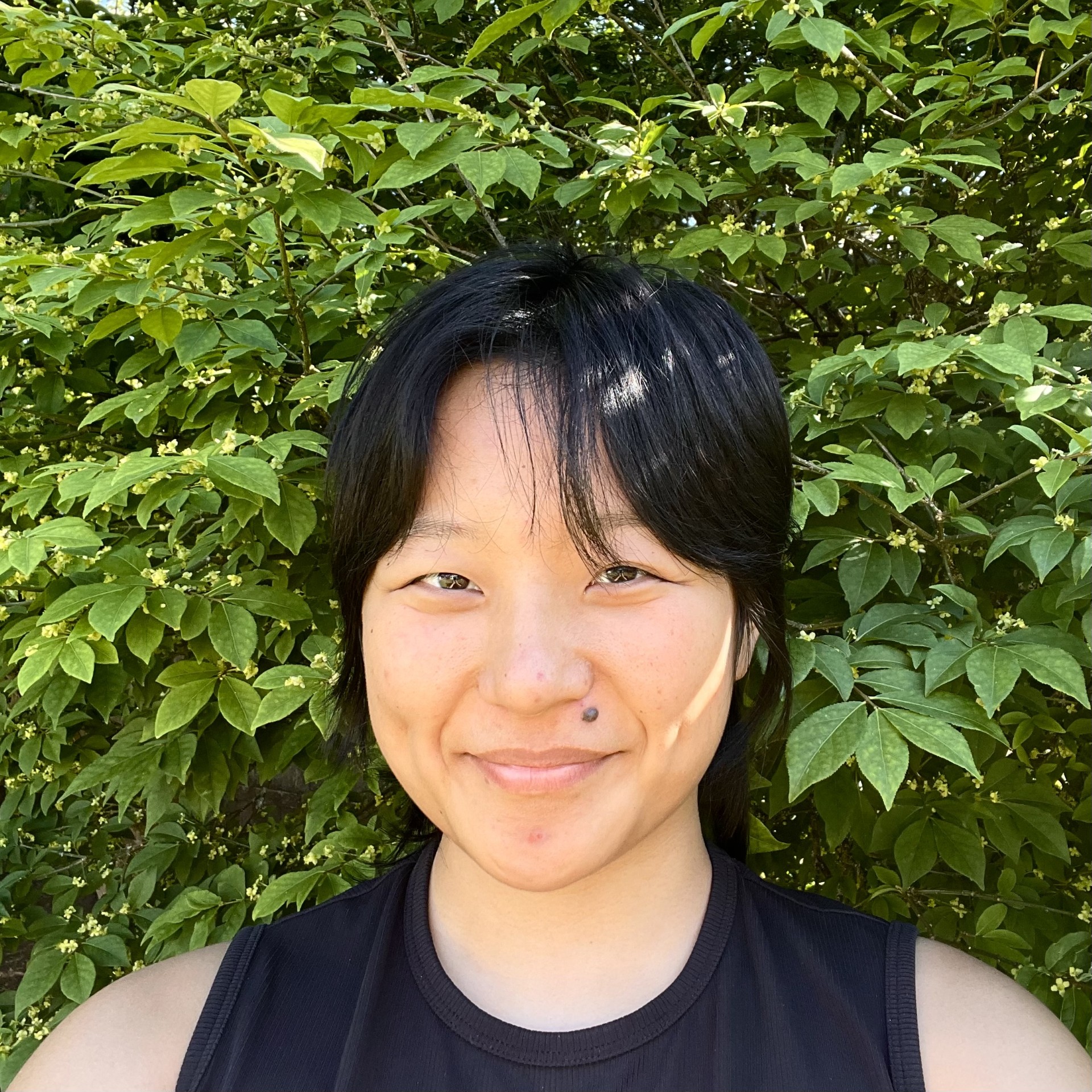 Landi Jiang